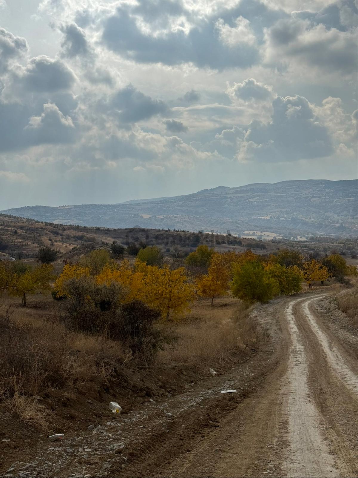 Sahibinden Sarıbeyler Lezgide Ağaçlı Tarla - 23