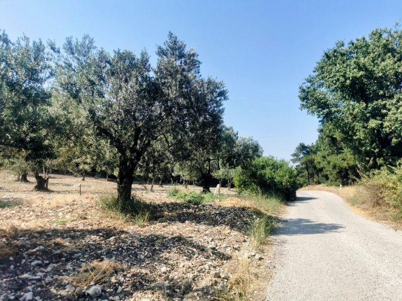 Bülent Ateşci'den Aliağa Bozköyde 1055 M2 Tarla - 4