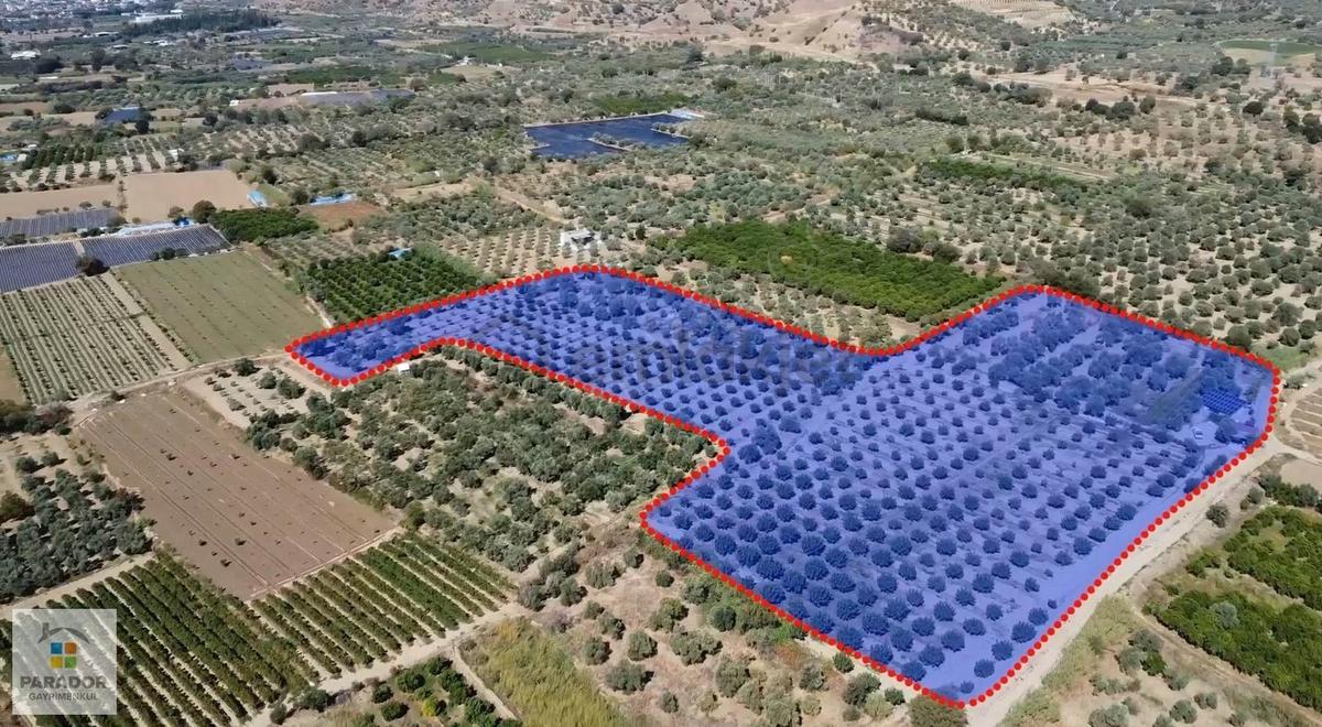 Aydın Sultanhisar Atça Mahallesinde Satılık 30385 M² Bahçe - 14