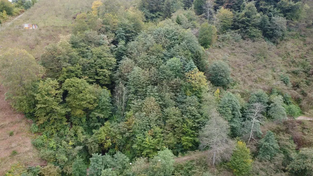 Trabzon Arsin'de Satılık Arazi - 4