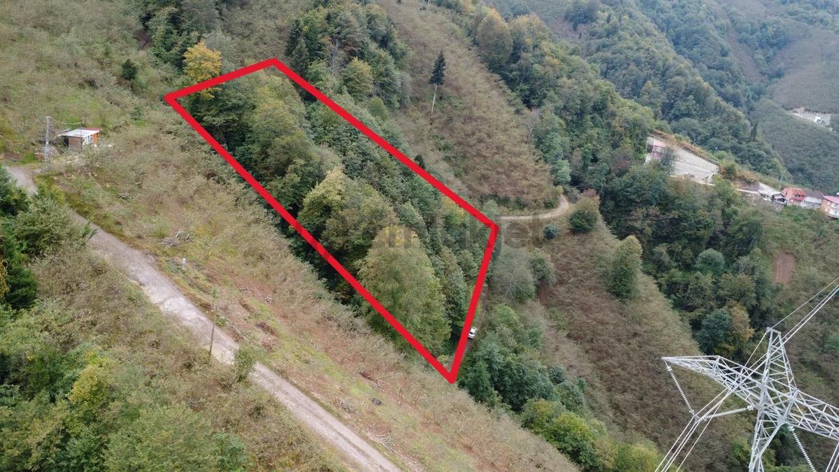 Trabzon Arsin'de Satılık Arazi - 5