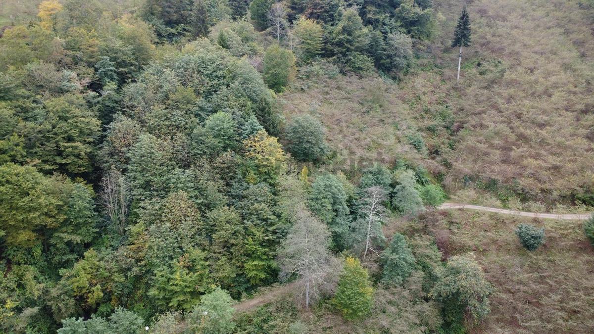 Trabzon Arsin'de Satılık Arazi - 16
