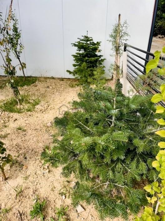 Banaz Kent Ormanı Yanı 200m2 4+1 Hazır Villa - 24