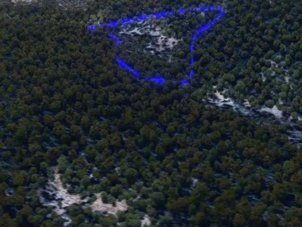 Milas Kalınağıl'da 13.475 M2 Zeytinlik - 9