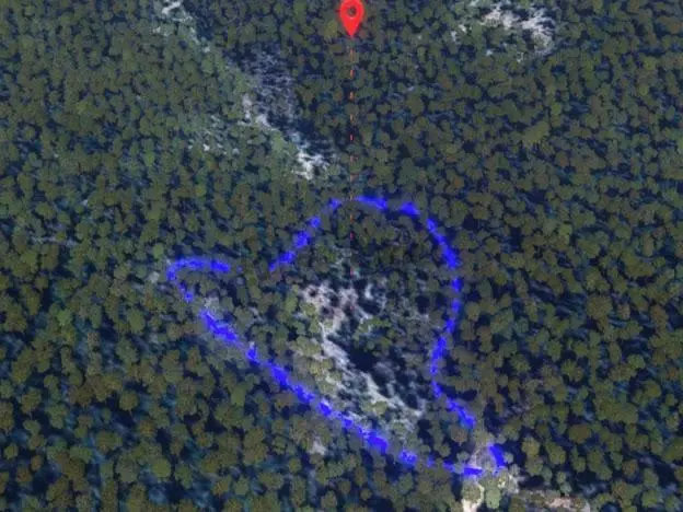 Milas Kalınağıl'da 13.475 M2 Zeytinlik - 3