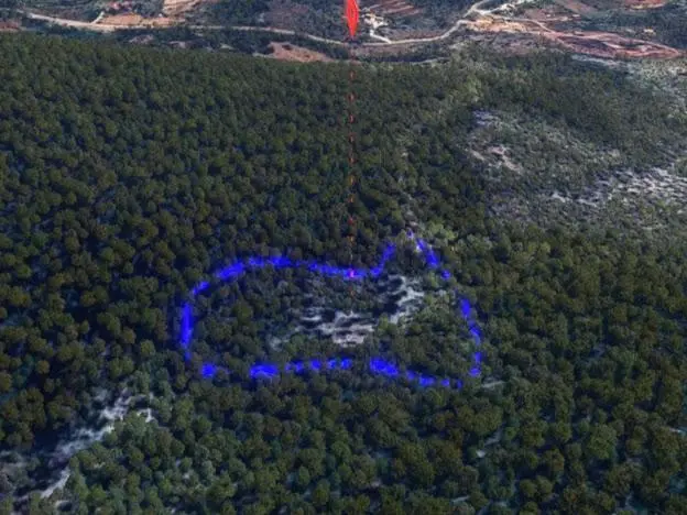 Milas Kalınağıl'da 13.475 M2 Zeytinlik - 5