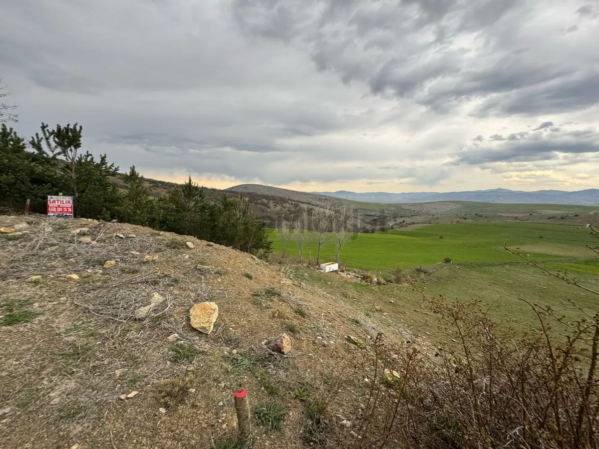 Tokat Merkez'de Satılık Arazi - 6