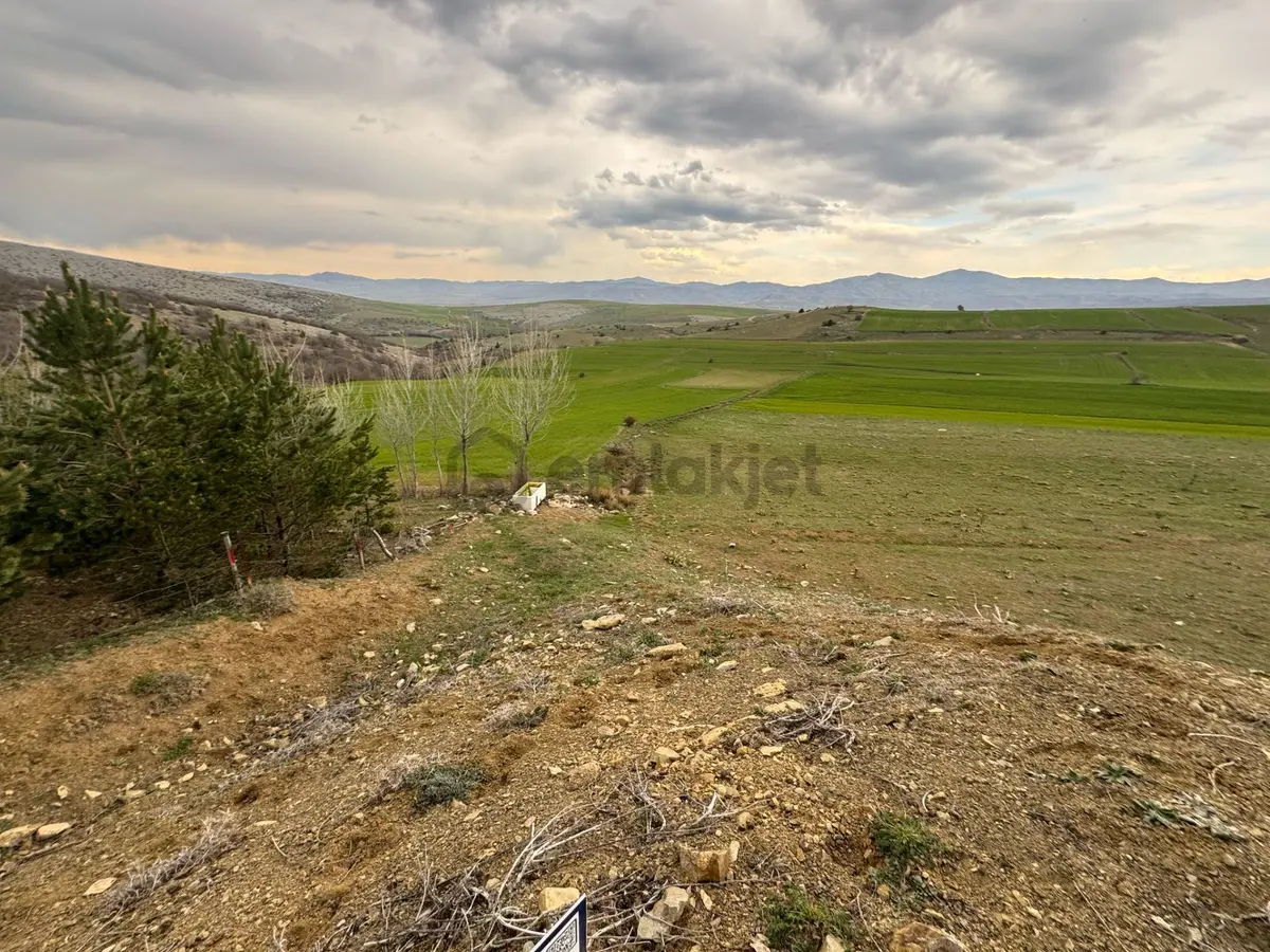 Tokat Merkez'de Satılık Arazi - 7