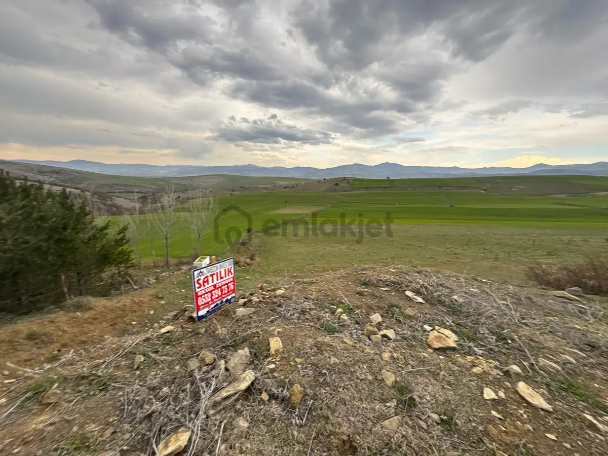 Tokat Merkez'de Satılık Arazi - 13