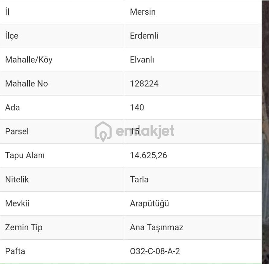 Aslandan Elvanlı Merkezinde 2.500 M2 Cazip Fiyatlı Satılık Tarla - 5