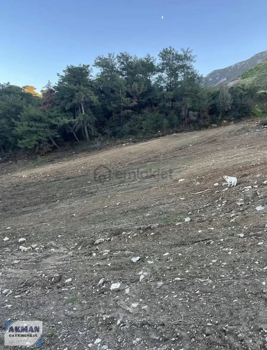 Kurtuluş Mh 7.775 M2 Köşe Tarla - 11