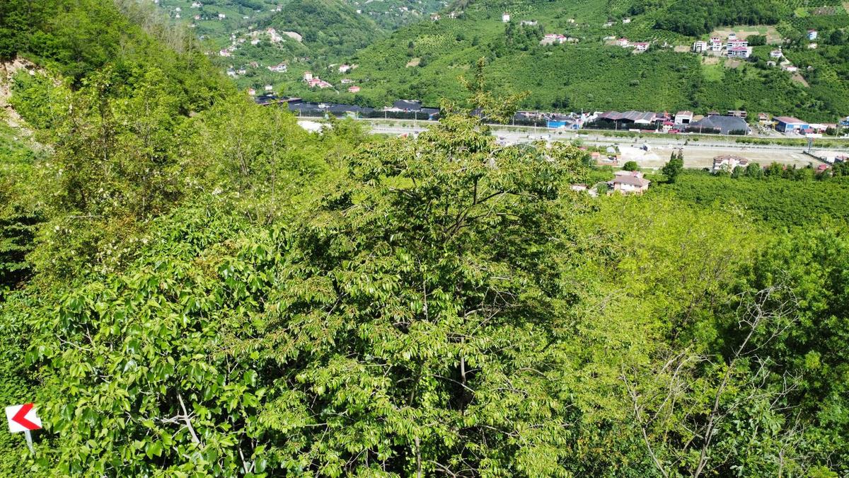 Trabzon Gözalan'da Satılık Arazi - 10