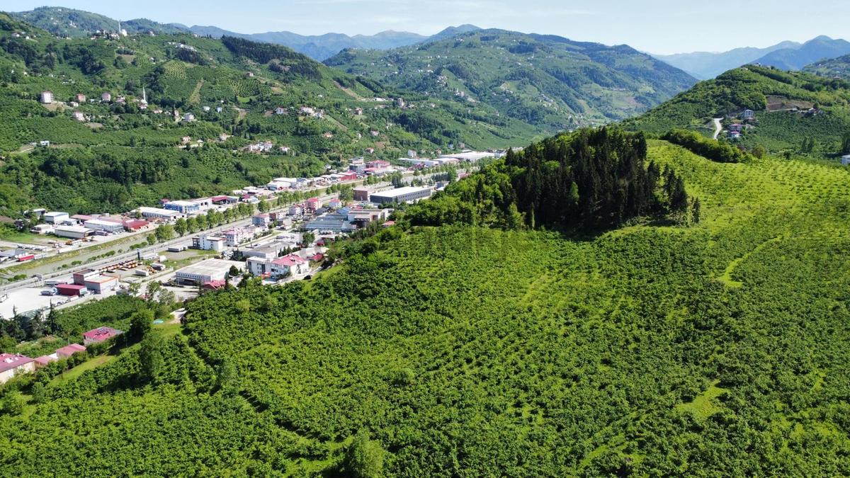 Trabzon Gözalan'da Satılık Arazi - 26