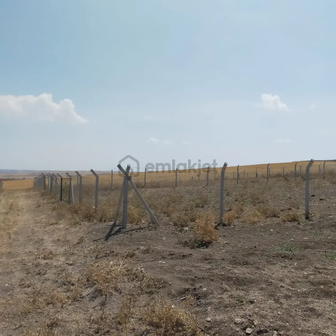Ankara Gölbaşı'da Soğulcak'ta 1500 M2 Satılık Tarla - 7