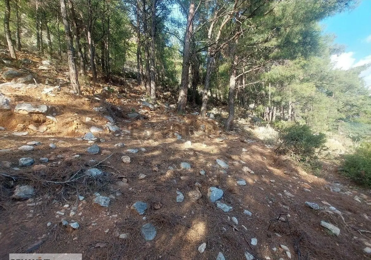 0rhaniye Güneş Emlaktan Satılık Tarla - 4