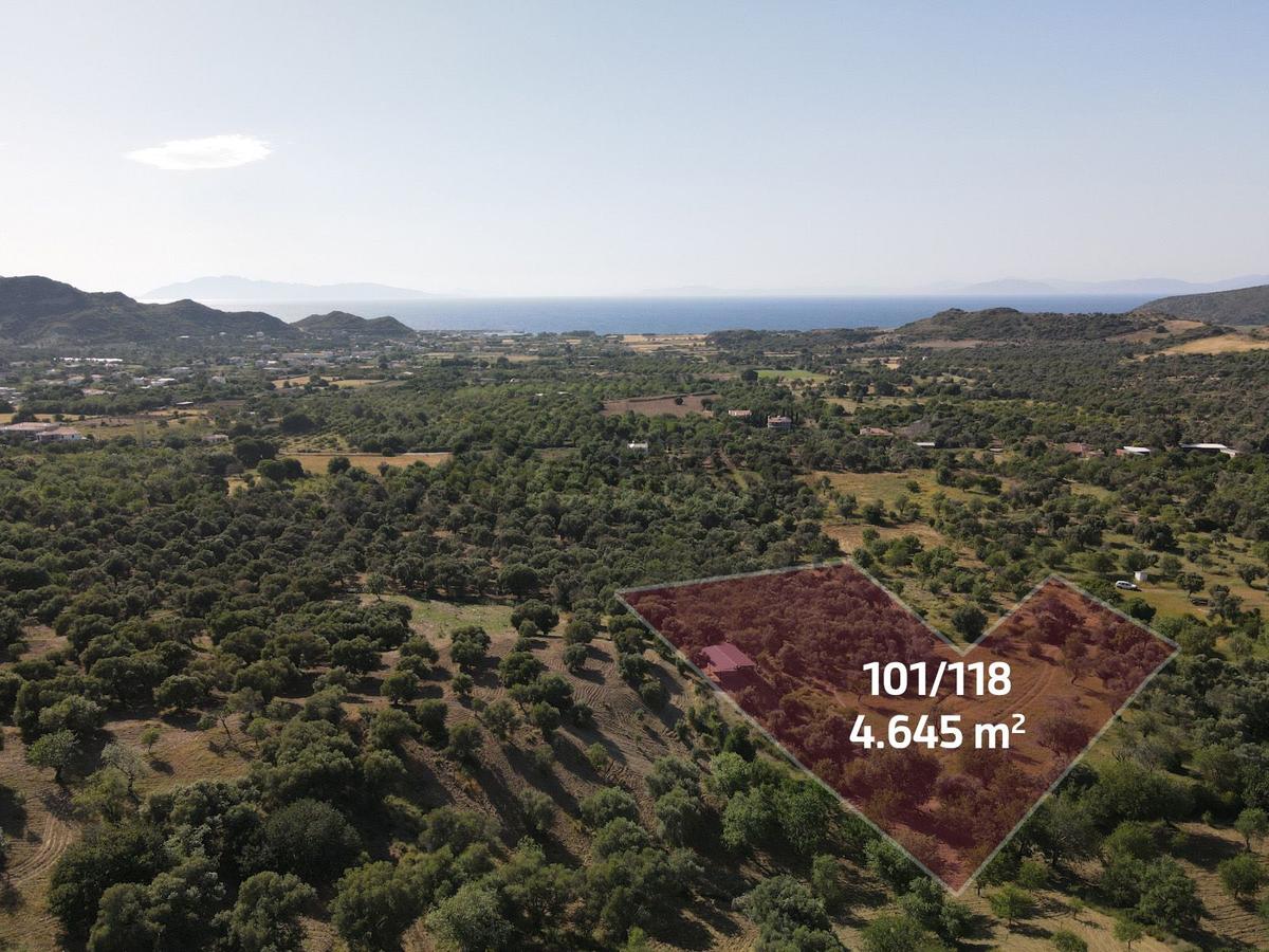 Datça Karaköy Mahallesinde 4645 M2 Deniz Manzaralı Tarla - 2