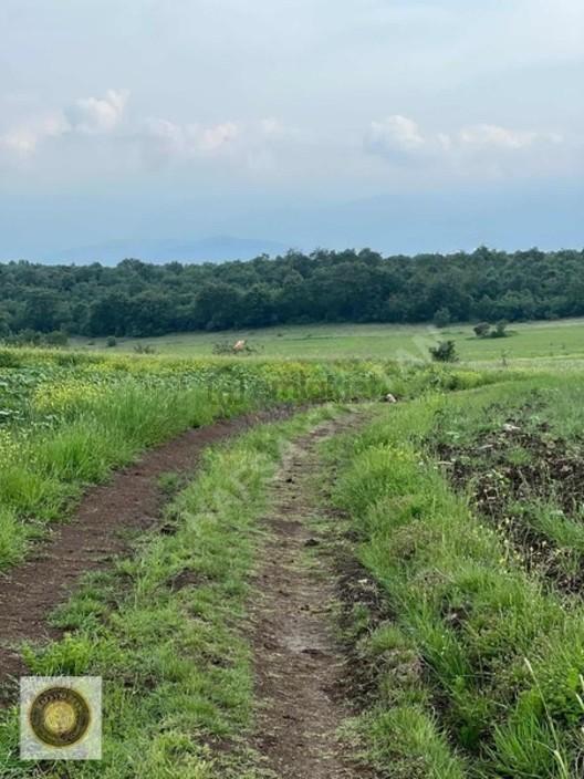 İnegöl Dömez Mh Satılık Toplam 3.000m2 - 13