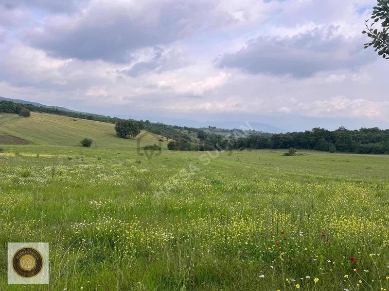 İnegöl Dömez Mh Satılık Toplam 3.000m2 - 28
