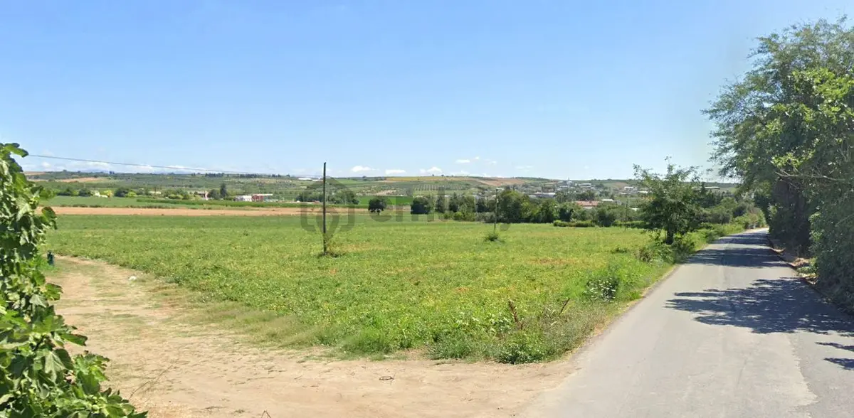 Aksakal Mah. Yol Üstünde Satılık Bağ - 8