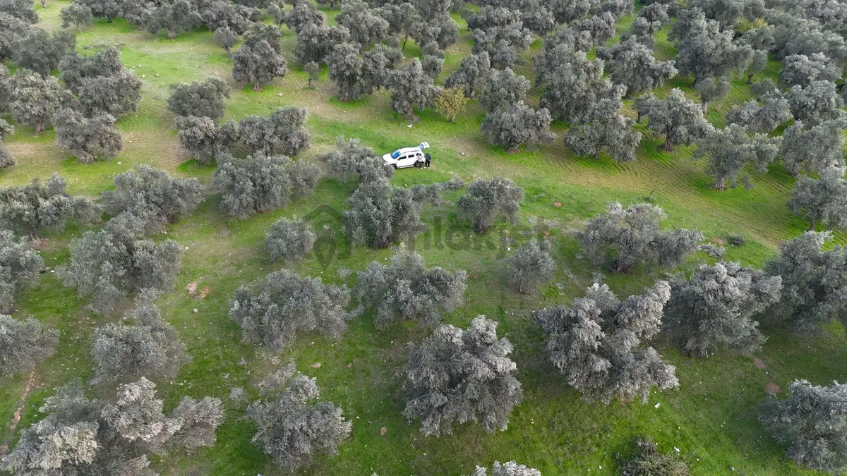 Başaran Emlak'tan Güre'de 390 M2 İmarlı Arsa - 16