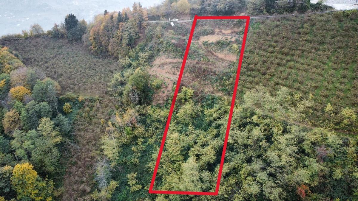 Trabzon'da Satılık Arazi - 4