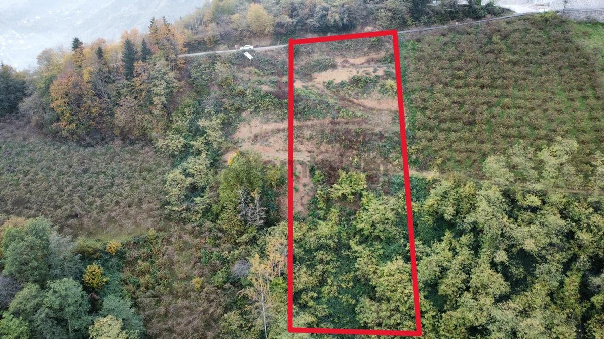 Trabzon'da Satılık Arazi - 3