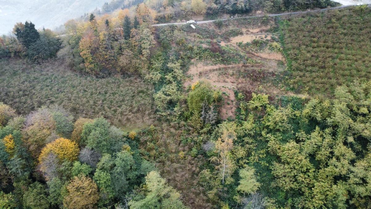 Trabzon'da Satılık Arazi - 28