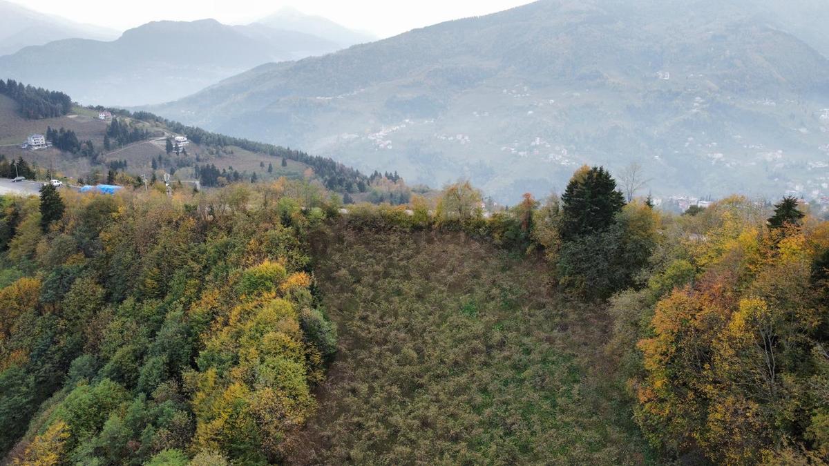Trabzon'da Satılık Arazi - 29