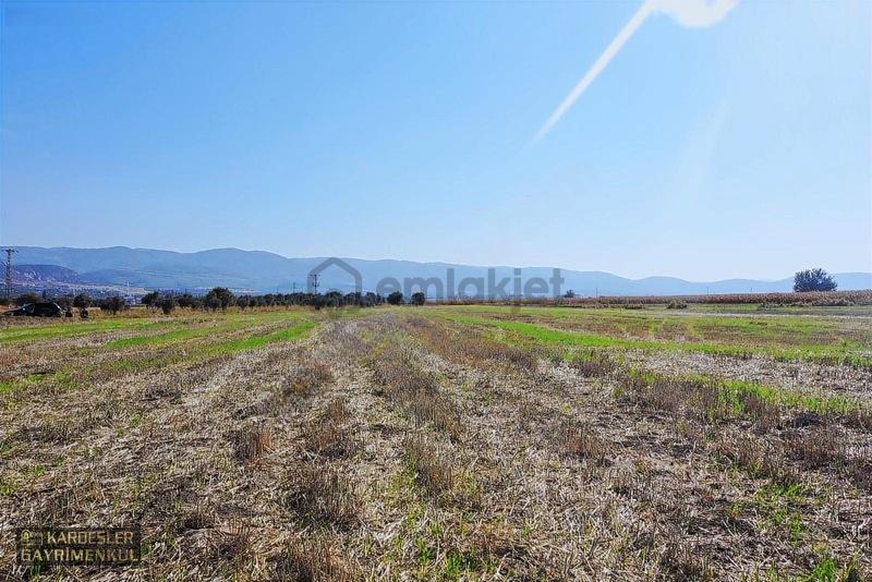 Sarıçalıda Satılık Tek Tapu Sulu Açık Arazi - 6