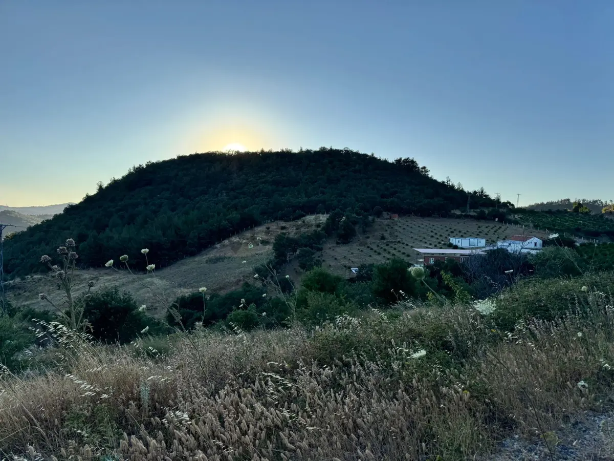 Manisa Soma'da Satılık Tarla - 29