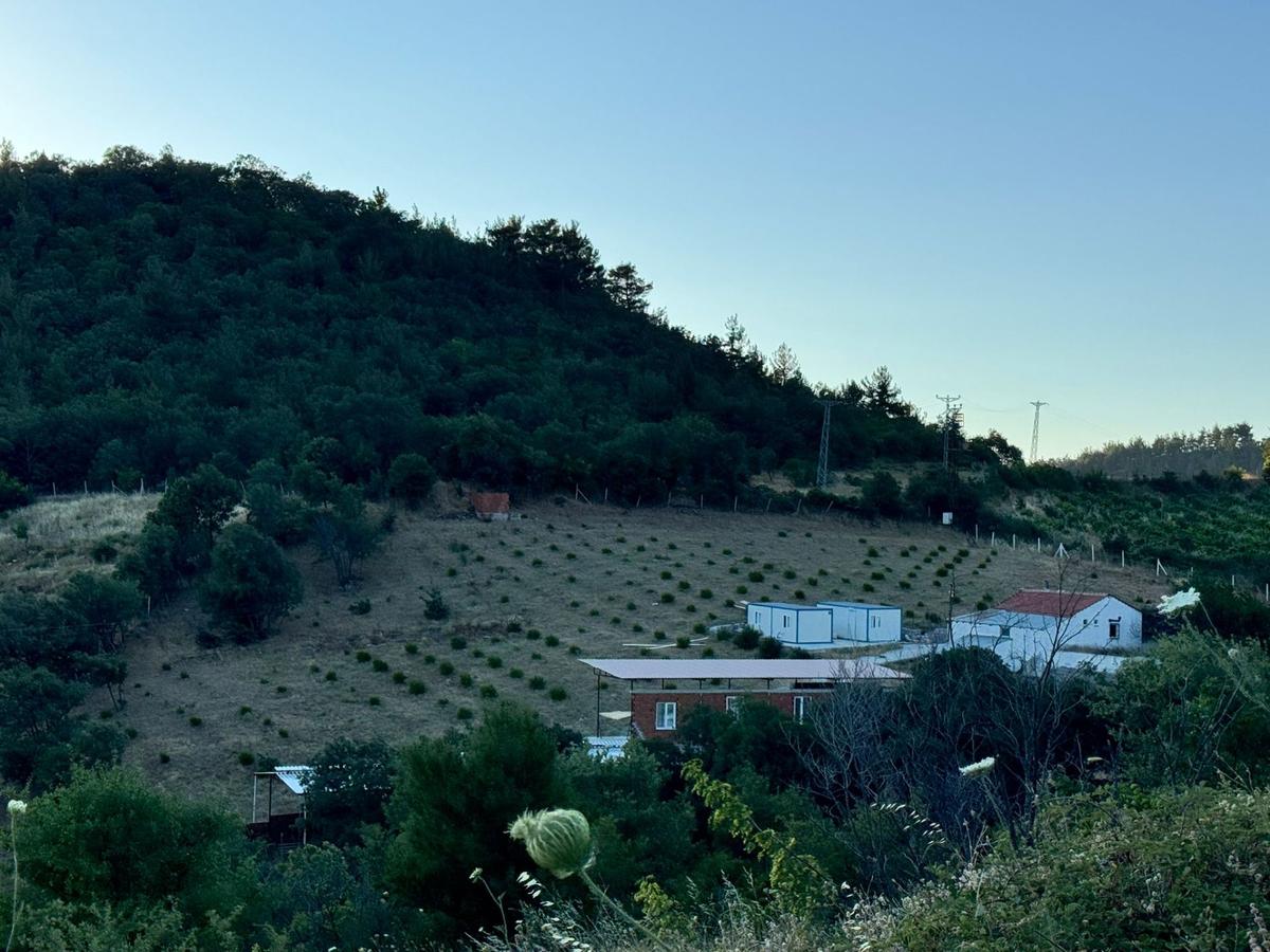 Manisa Soma'da Satılık Tarla - 28