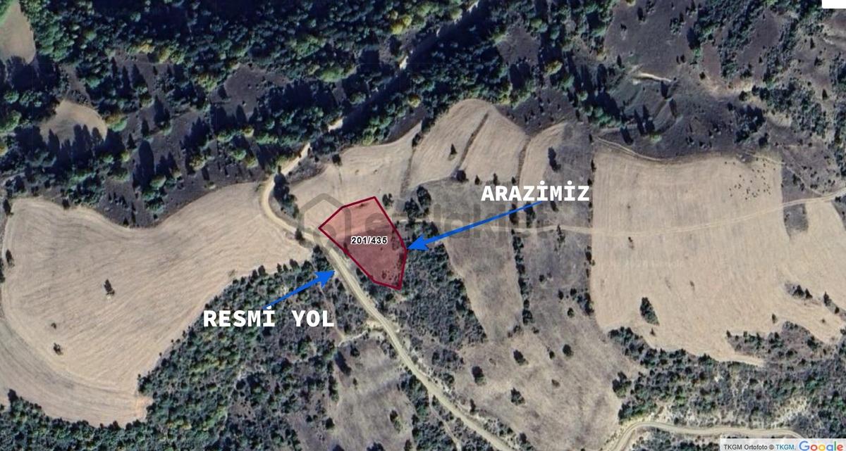 Kütahya Emetde 1.832 M2 Yola Cephe Kaplıca Bölgesinde Düz Arazi - 5