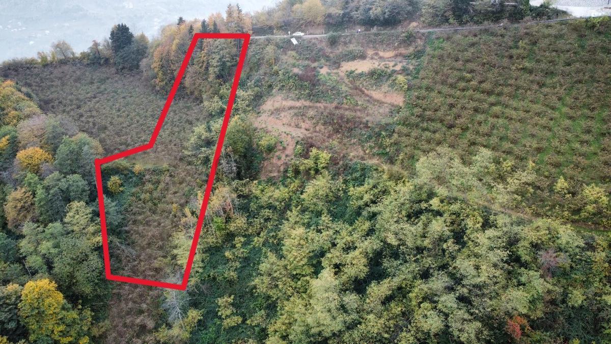 Trabzon'da Satılık Arazi - 25