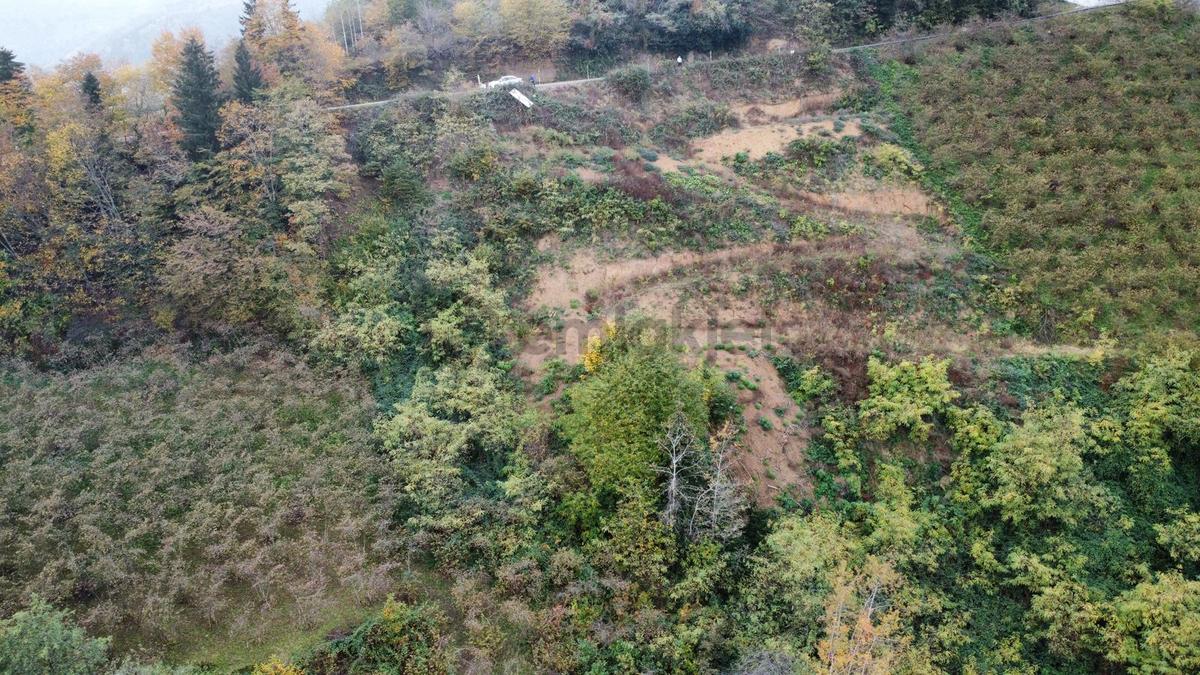 Trabzon'da Satılık Arazi - 21
