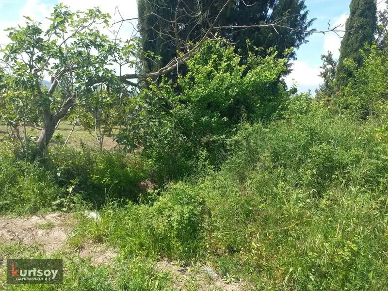 Acill,ege'nin İncisi Ortaca Da Doğa İçinde 2025 M2 İmarlı Arsa - 17