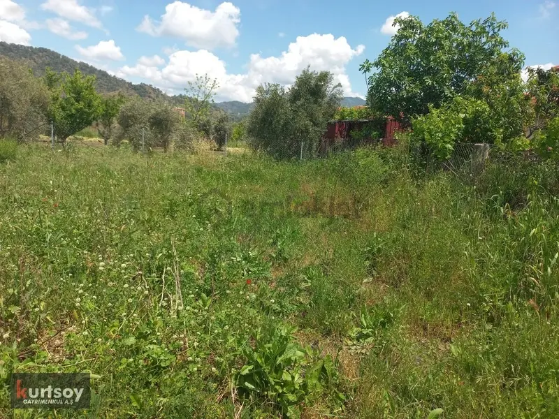 Acill,ege'nin İncisi Ortaca Da Doğa İçinde 2025 M2 İmarlı Arsa - 11