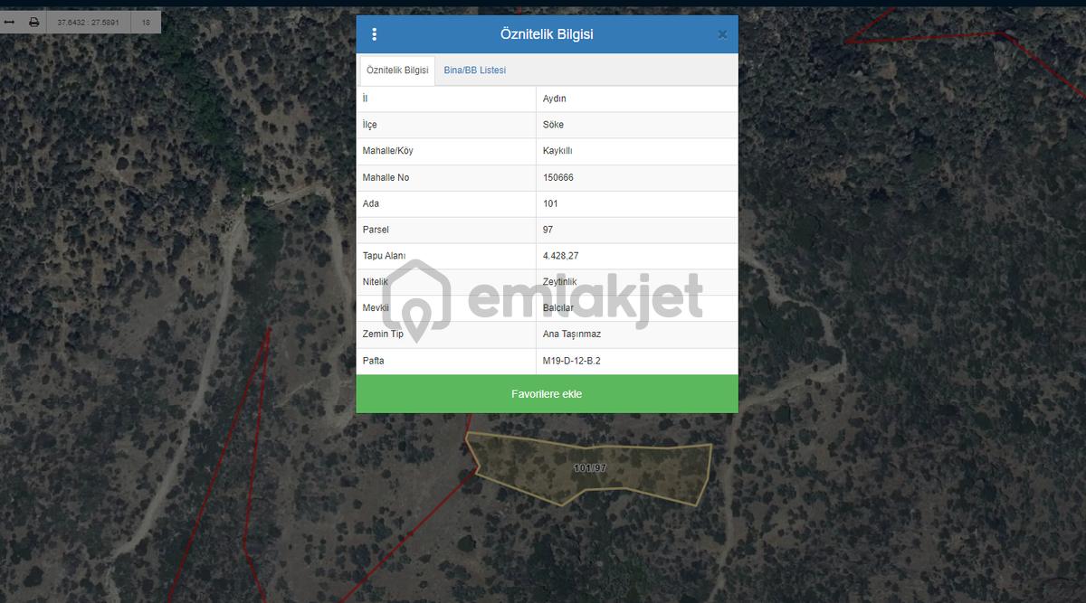 Aydın Söke Kaykıllı Satılık 4428m2 Zeytinlik - 16