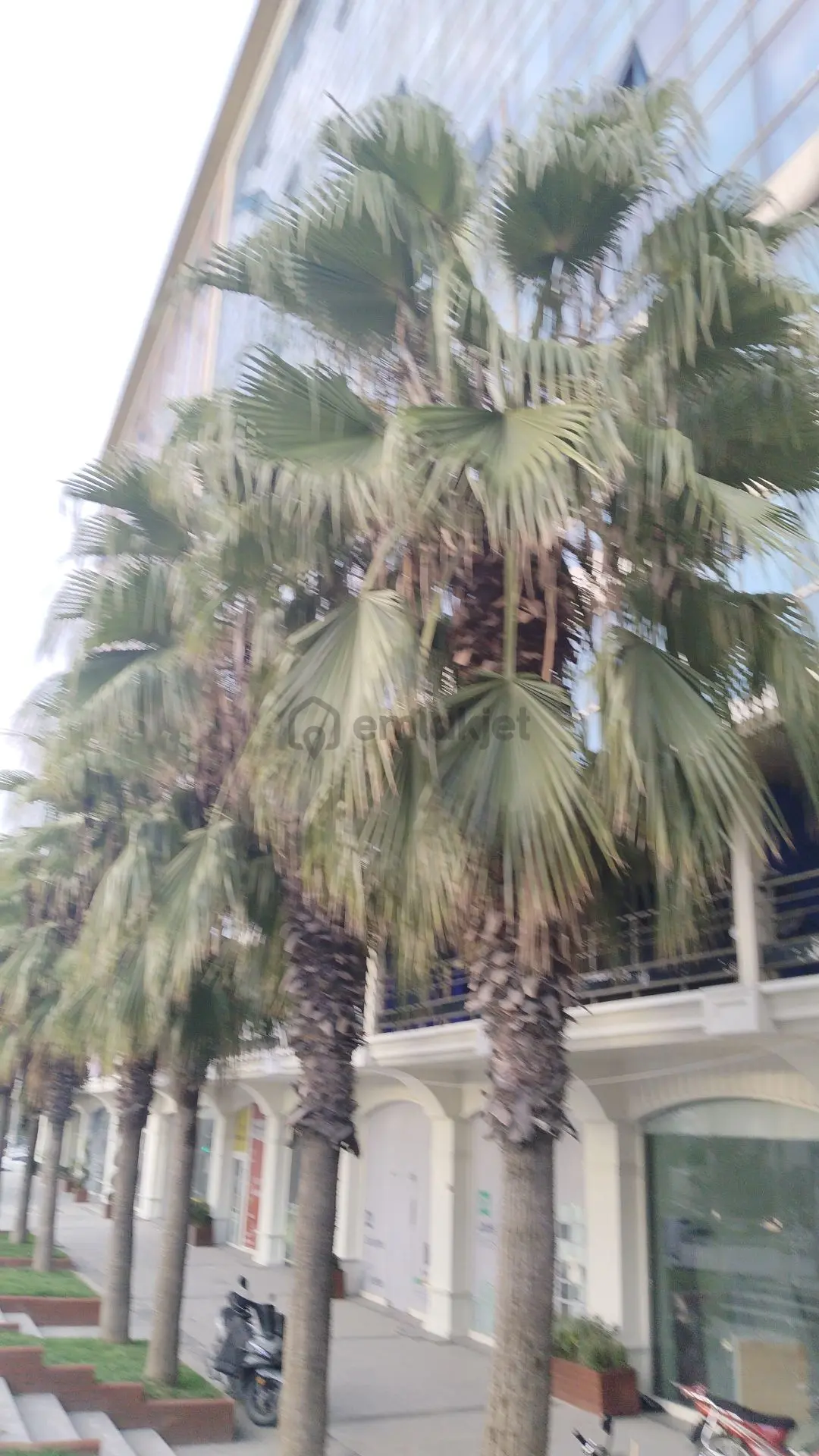 Sahibinden İstanbul Esenyurt'ta Kiralık Daire - 2