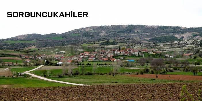 Bilecik-yenipazar-sorguncukahiler-40m2 İmarlı Arsa - 19
