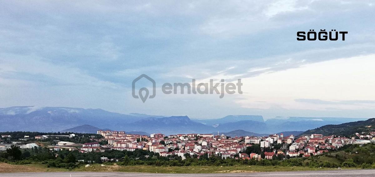 Bilecik-söğüt-borcak-satılık 578m2bahçe - 21