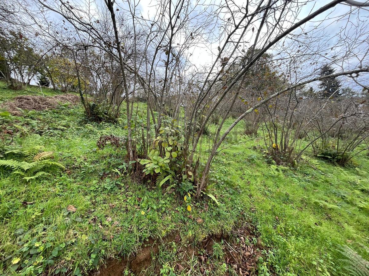 Trabzon Kavala'da Satılık Arazi - 28