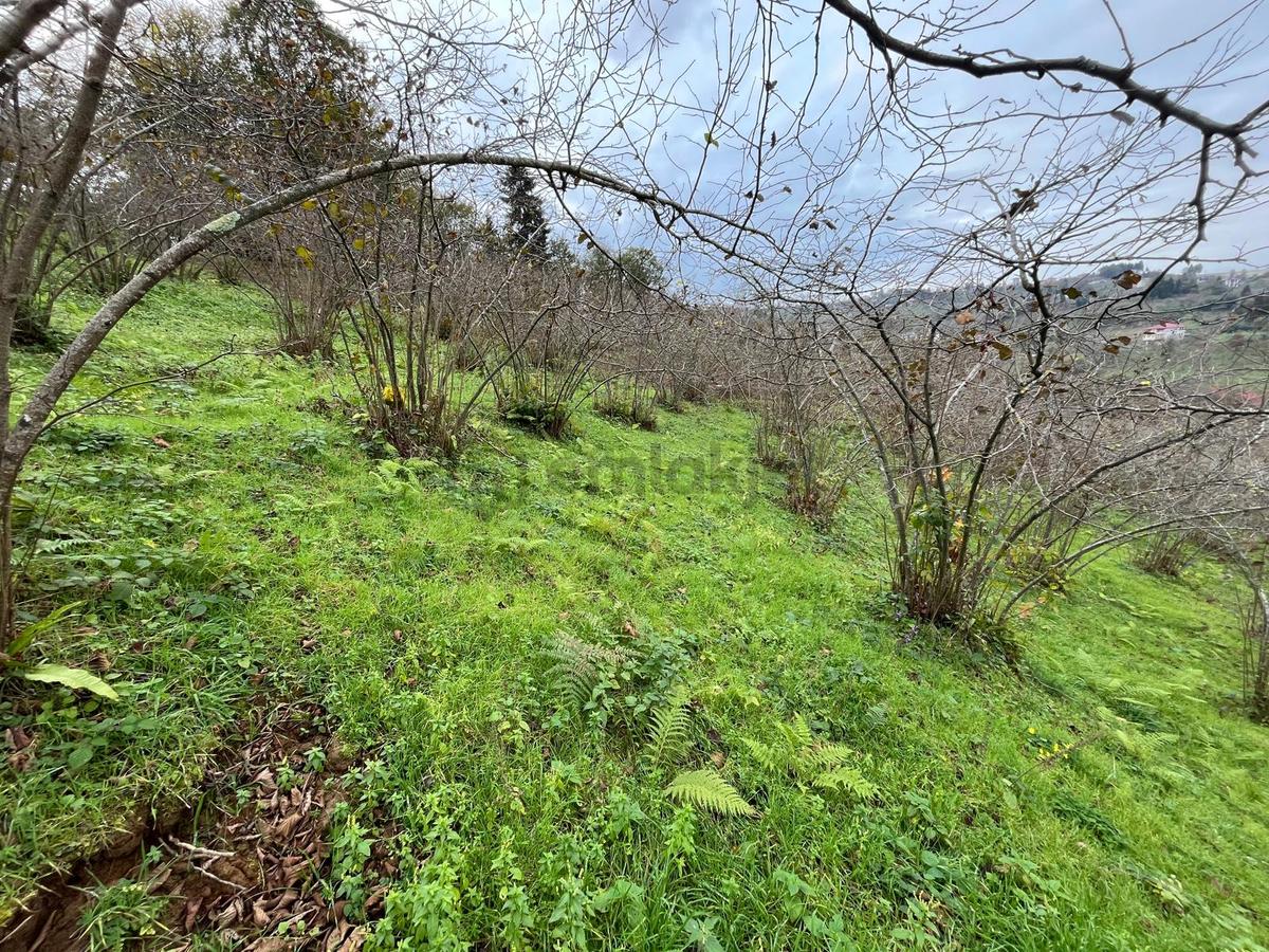 Trabzon Kavala'da Satılık Arazi - 8