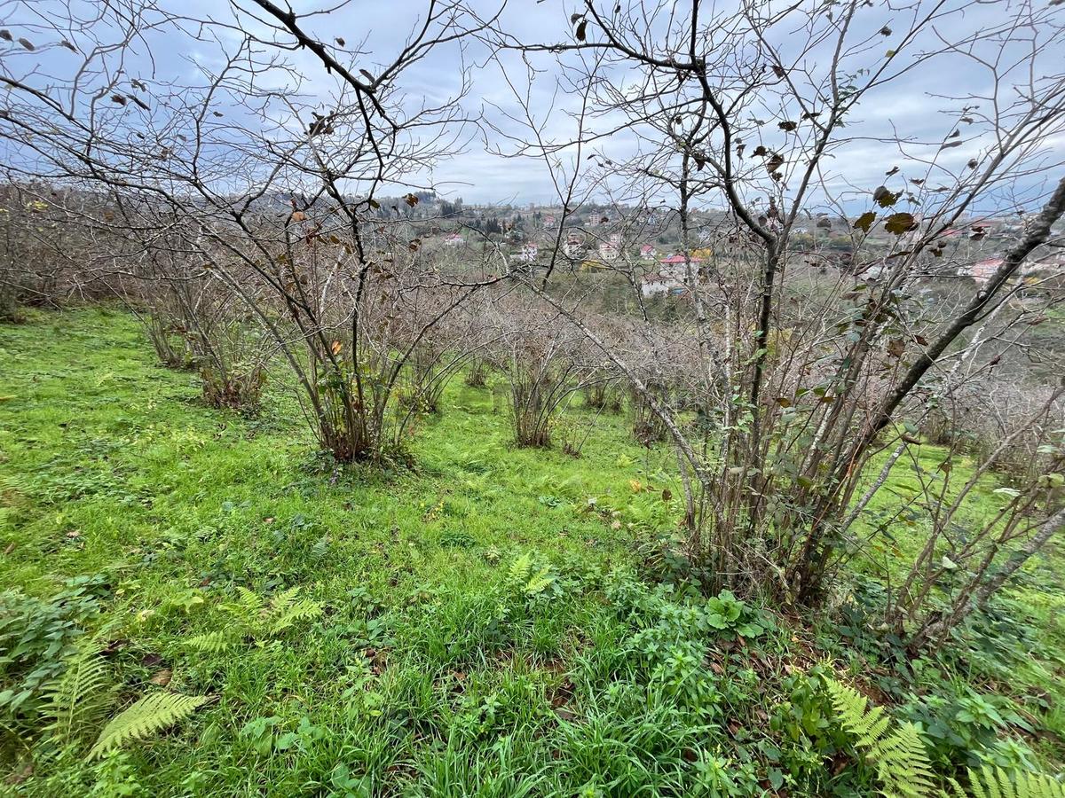 Trabzon Kavala'da Satılık Arazi - 29