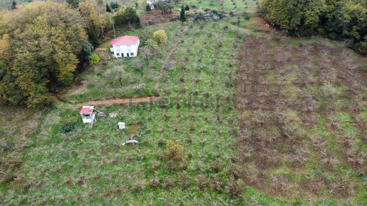 Trabzon Kavala'da Satılık Arazi - 2