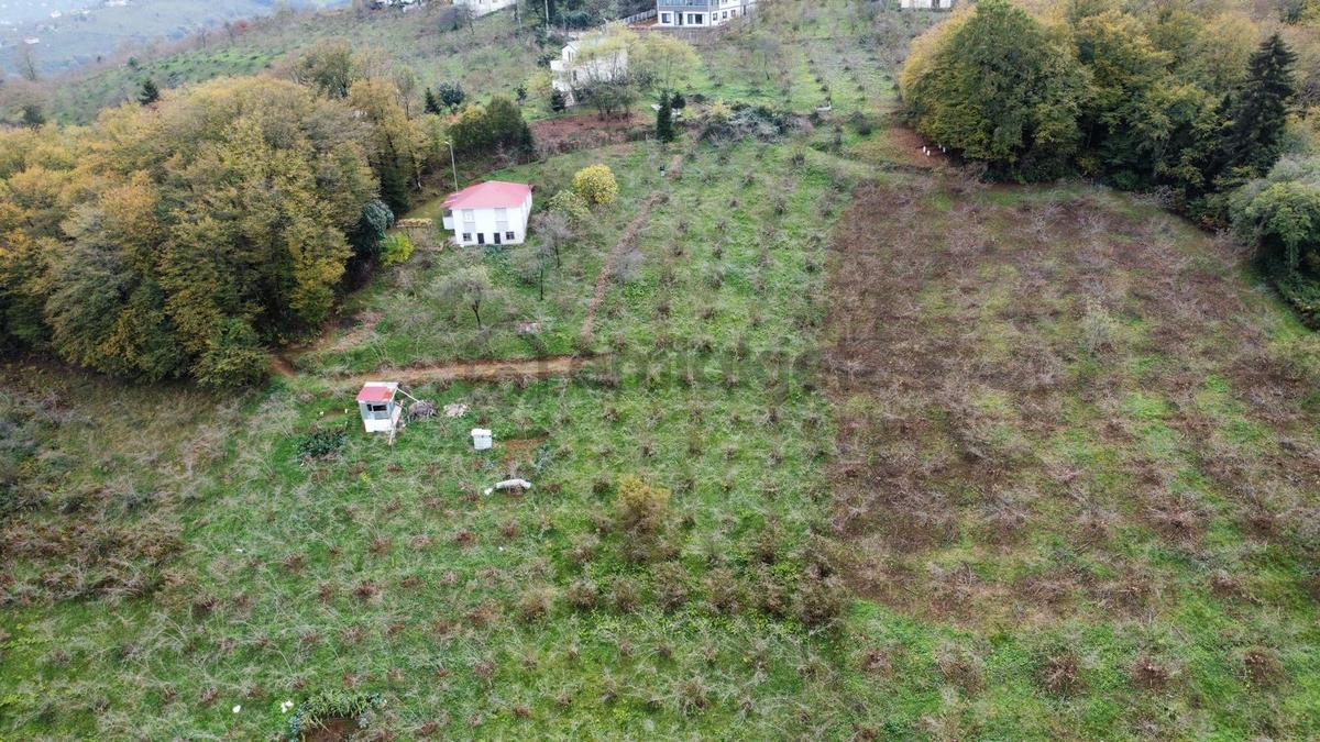 Trabzon Kavala'da Satılık Arazi - 4