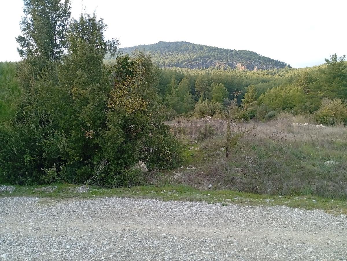 Seydikemer Ortaköy De Satilk 726 M2 Tarla - 22