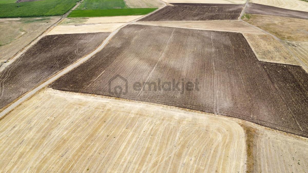 Ağrı'da Satılık Tarla - 9