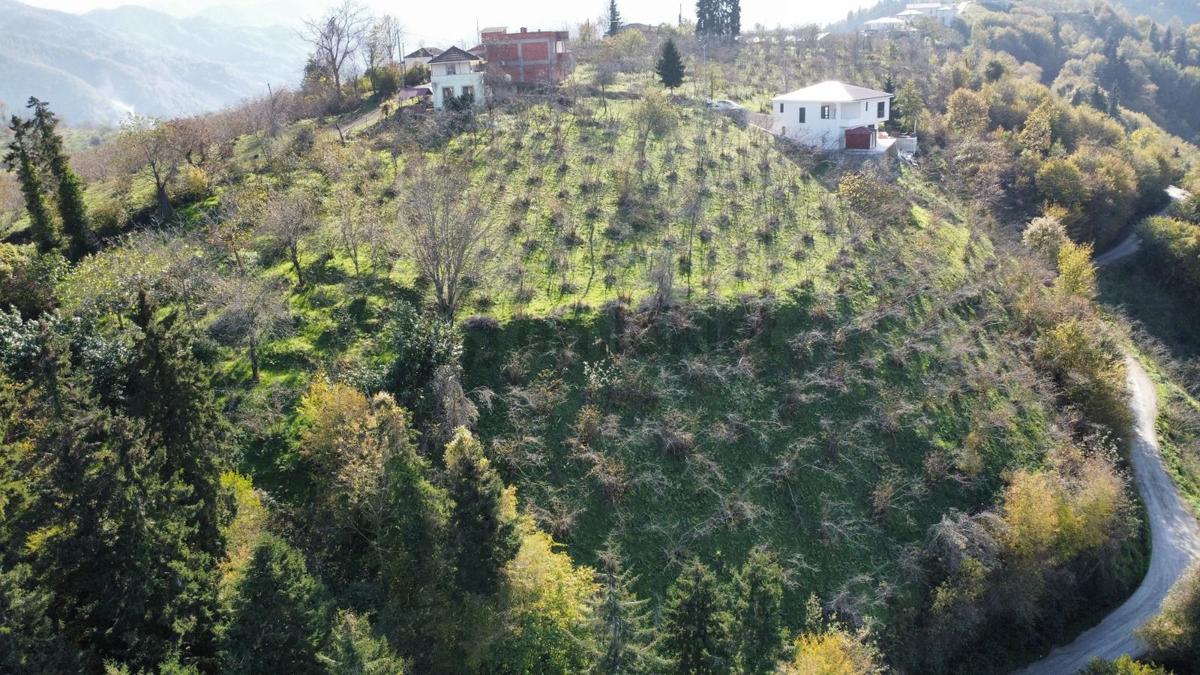 Trabzon'da Satılık Arazi - 18