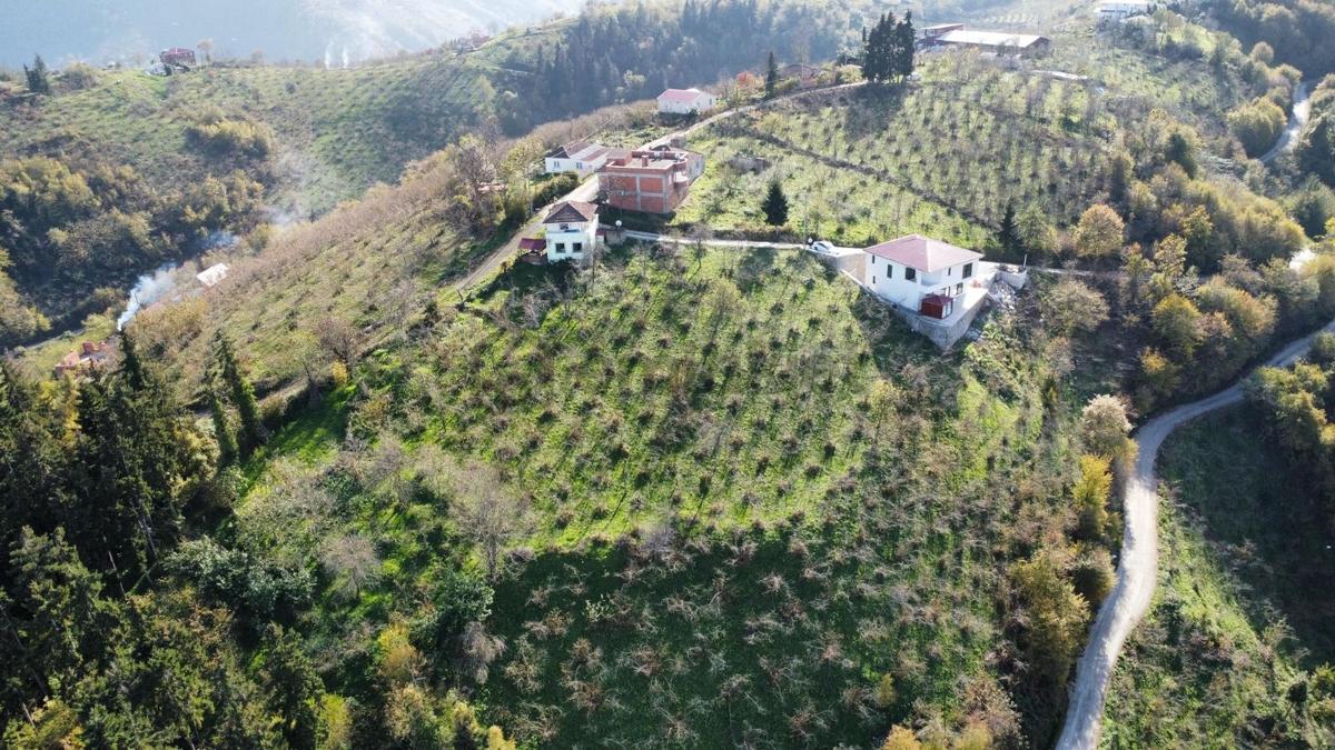 Trabzon'da Satılık Arazi - 24