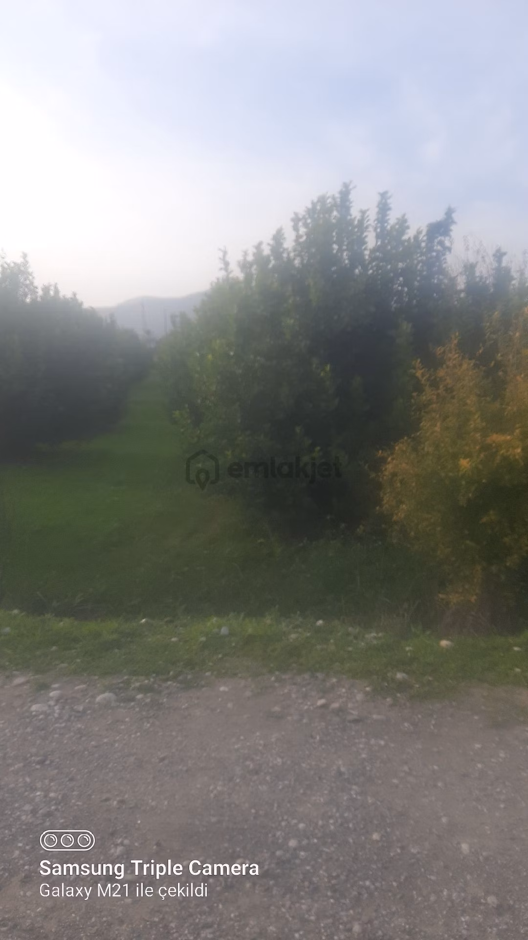 Lütfen Açıklamayı Okuyunuz. Ortaca Akıncıda Devirli 3 Parsel - 6